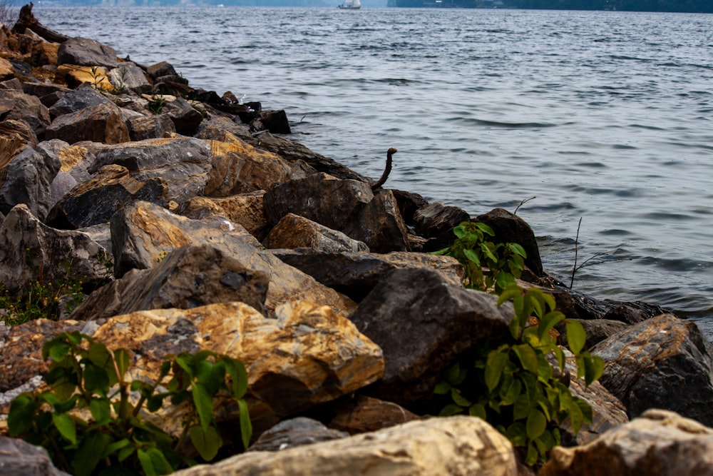 a large body of water surrounded by rocks