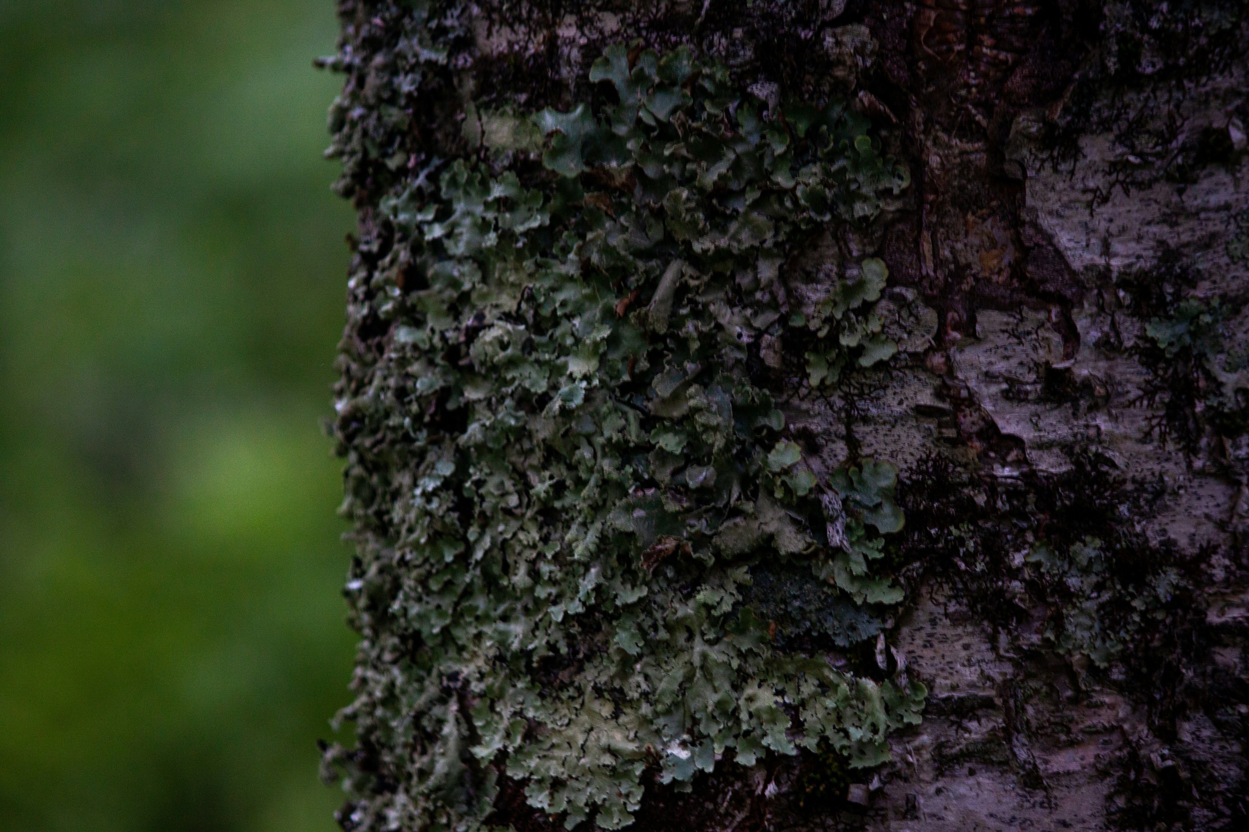 Photo by divijgarg04