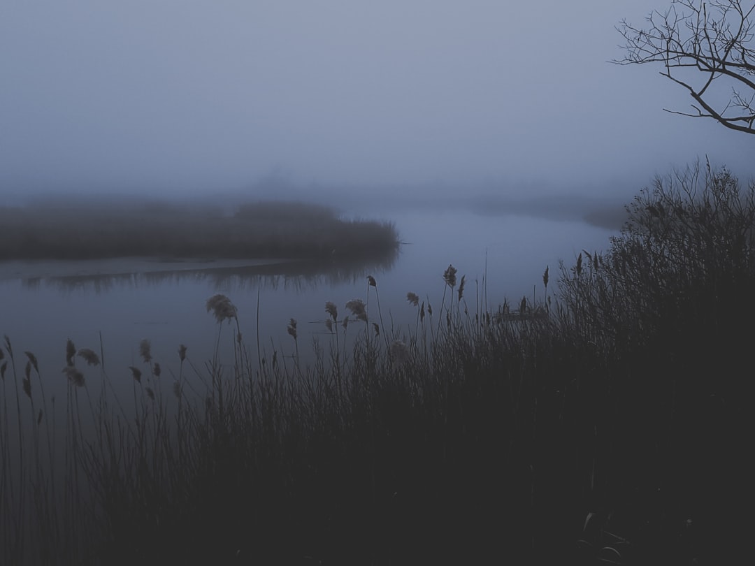 a body of water surrounded by tall grass, I can feel who you were