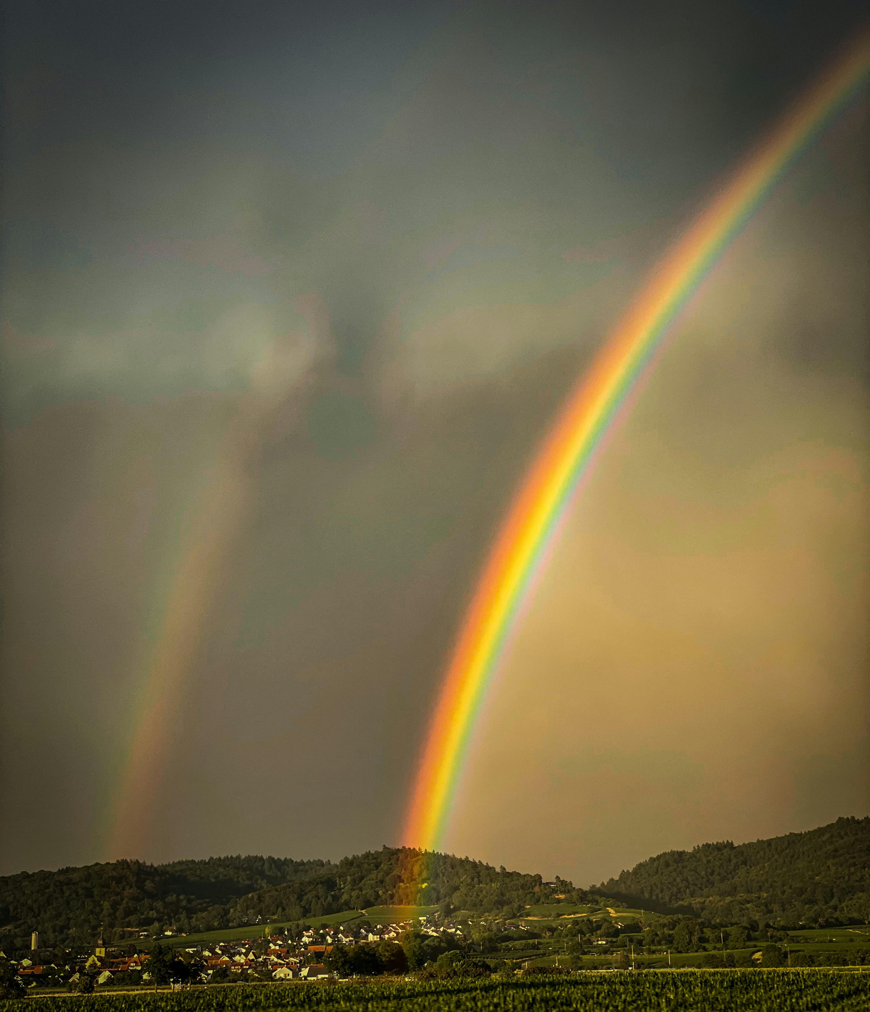 Bright Dreams Drawing