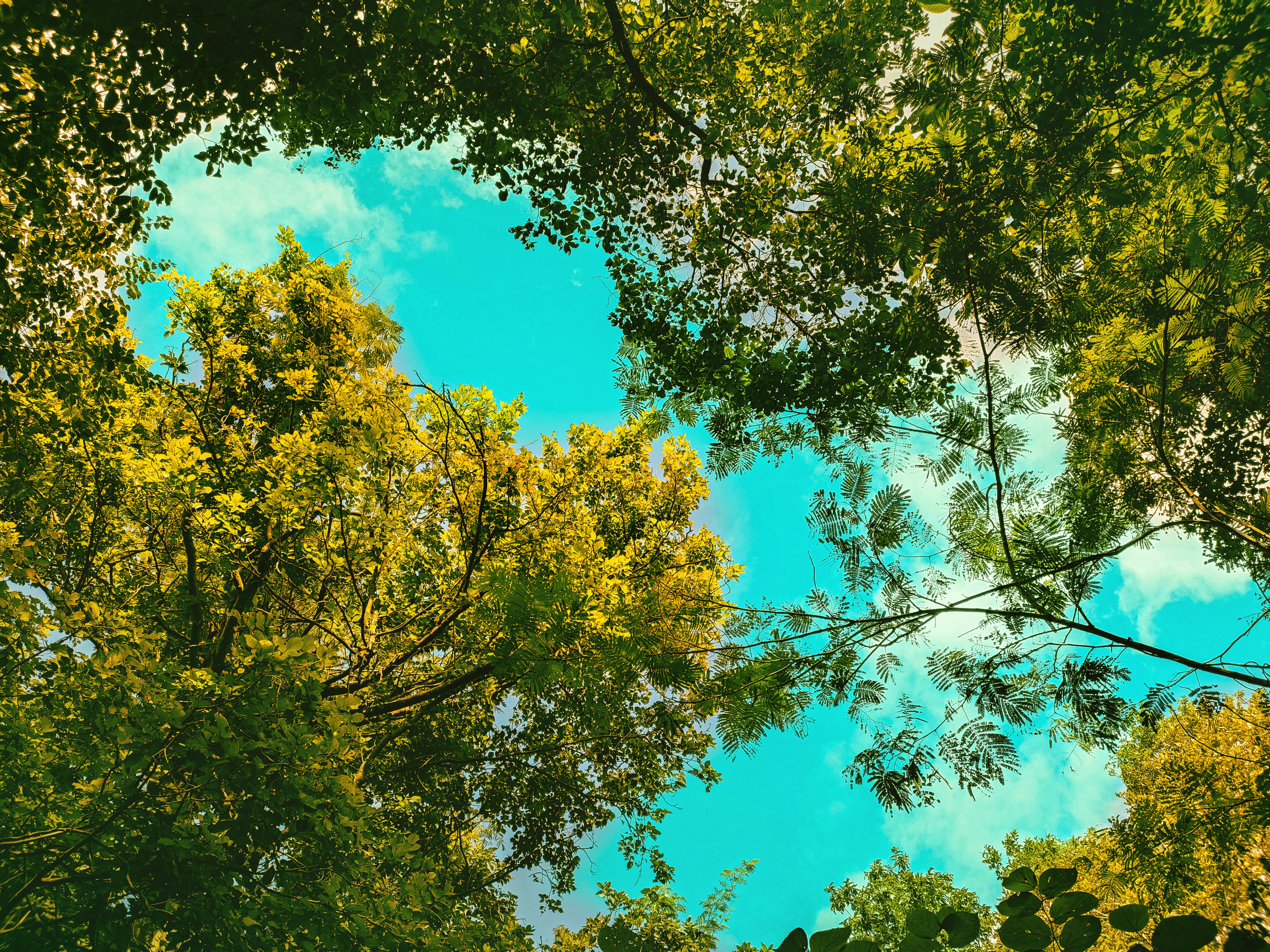 Photo by morpheus7707