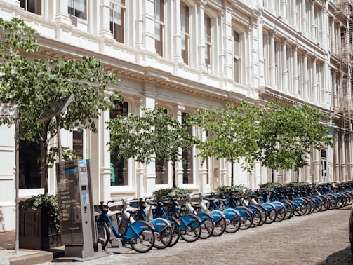A row of blue bicycles lined up on a cobblestone street in front of a historic white building with large windows and decorative architectural elements. Trees with green leaves provide shade, and a bike rental station is visible.