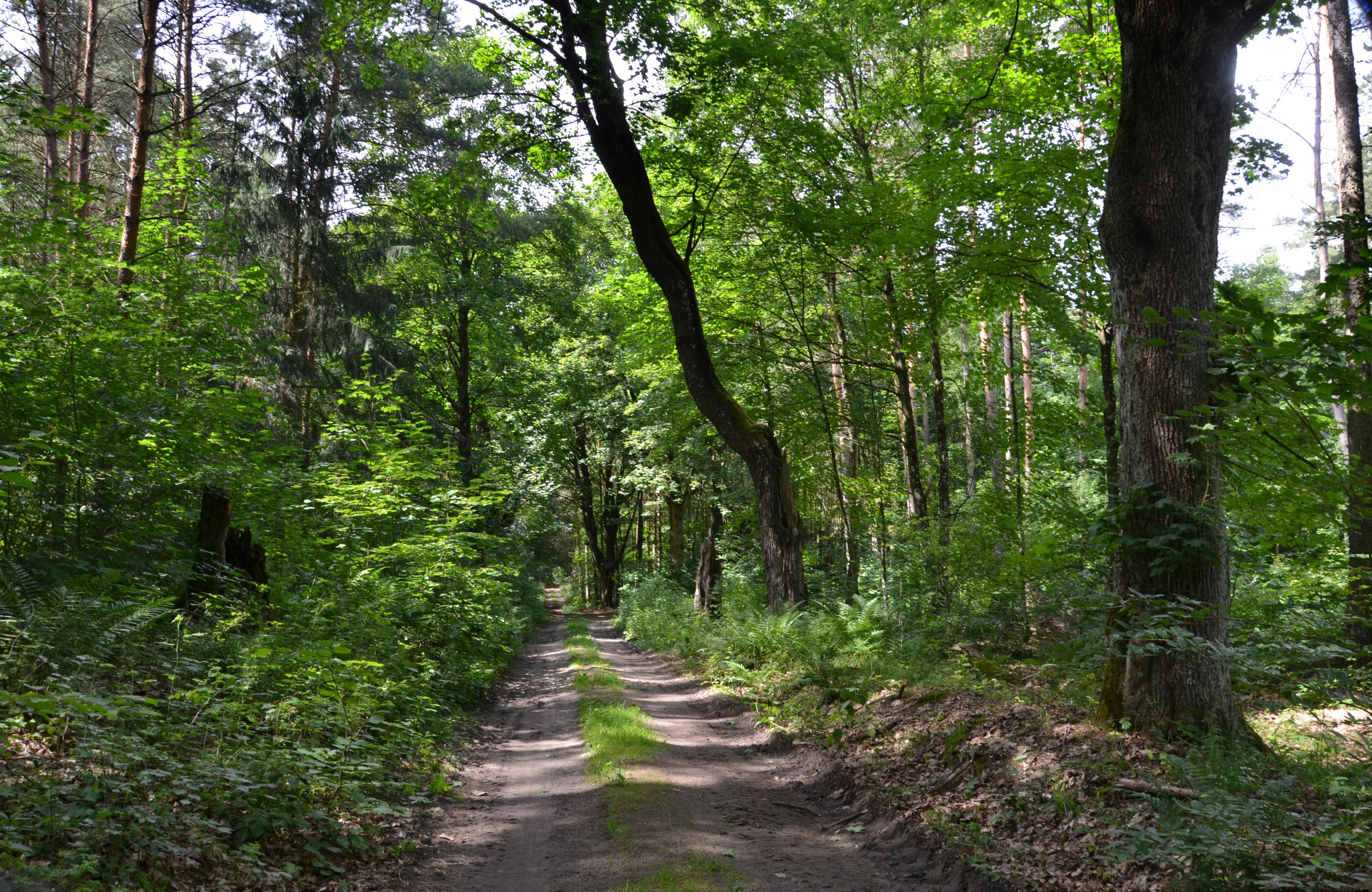 Photo by renovatio72