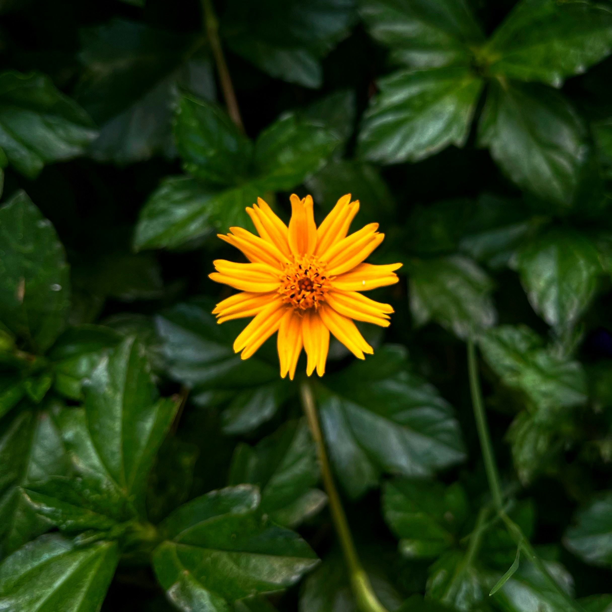 Photo by creativephotography_1121