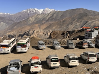 A variety of rental vehicles including SUVs, sedans, and buses parked at a scenic location.