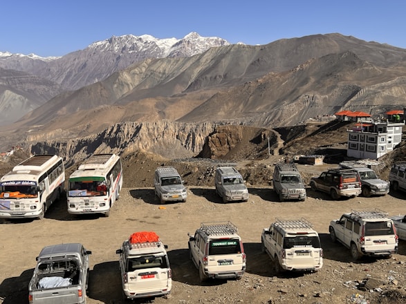 A variety of rental vehicles including SUVs, sedans, and buses parked at a scenic location.