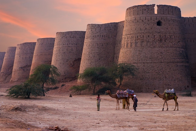 A series of large, ancient fort walls built from bricks dominates the background. In the foreground, two camels with colorful saddles are being led by two people wearing traditional attire. Sparse trees and a sandy terrain surround the scene, under a sky painted with a warm sunset glow.