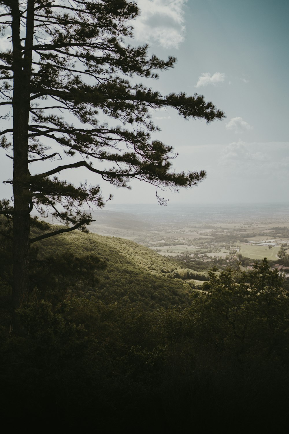 a view of a valley from a hill