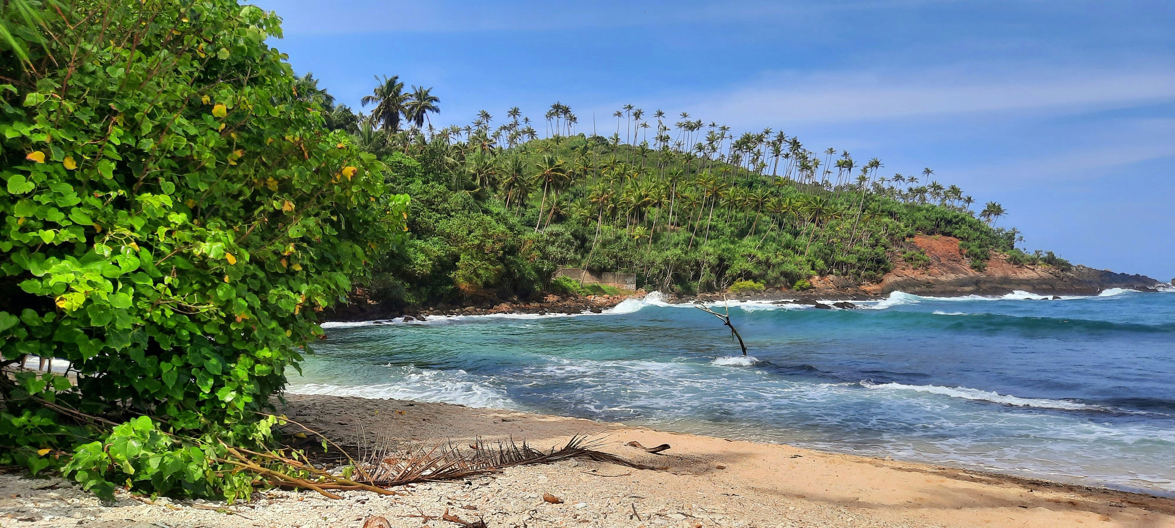 Photo by zeenathmariyam