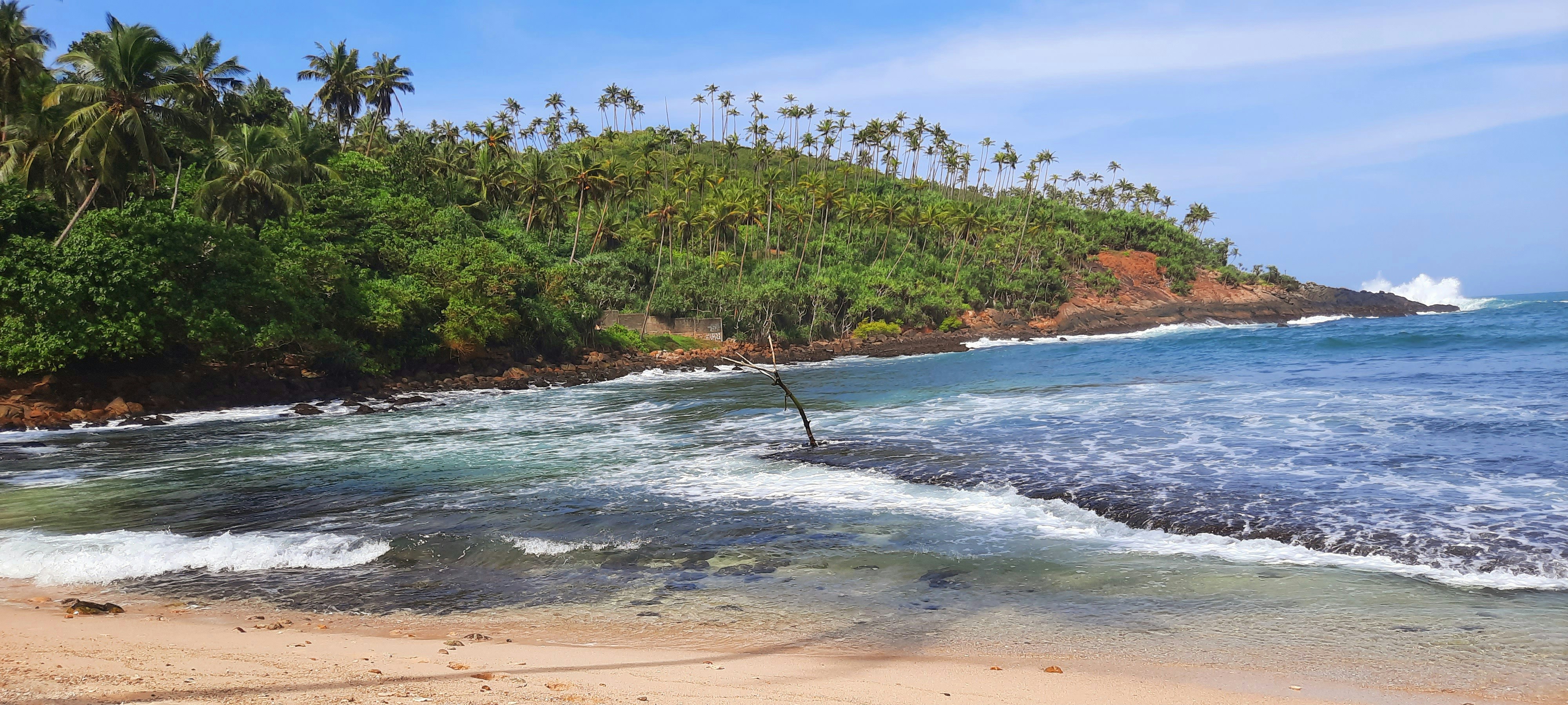 Photo by zeenathmariyam