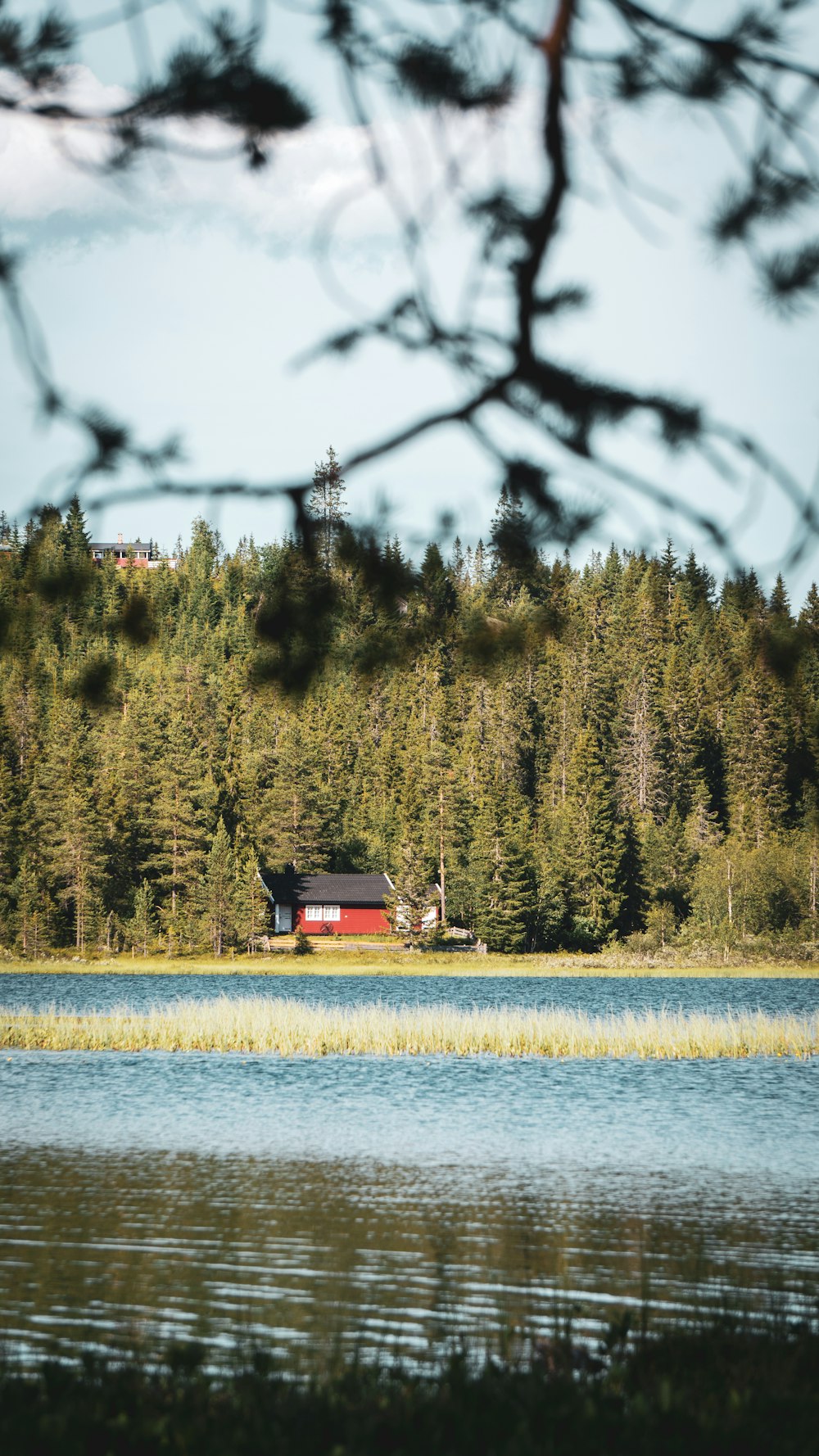 a house in the middle of a lake surrounded by trees