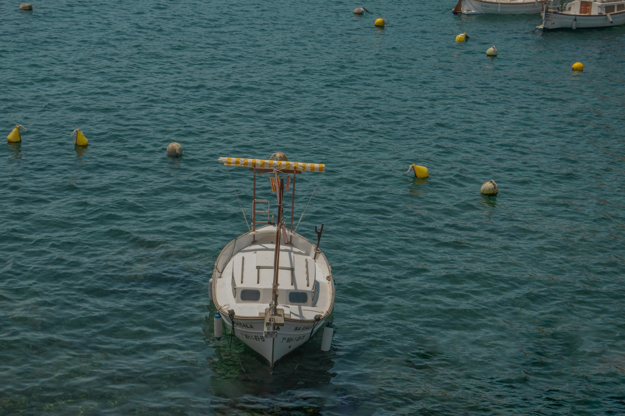 El llaut es un barco tradicional balear, que se caracteriza por ser pequeño y tener vela latina, 