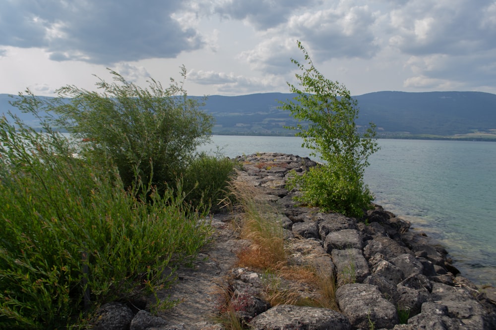 a stone wall next to a body of water