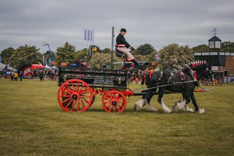 a man riding on the back of a horse drawn carriage