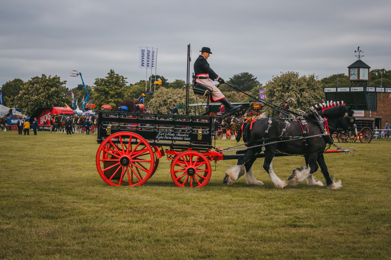 What the Draft Horse Classic Reveals About Living in Nevada County