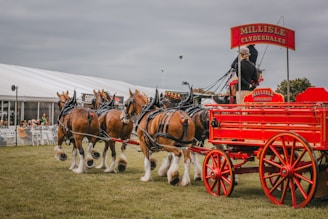 a group of horses pulling a red wagon
