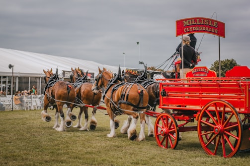 a group of horses pulling a red wagon