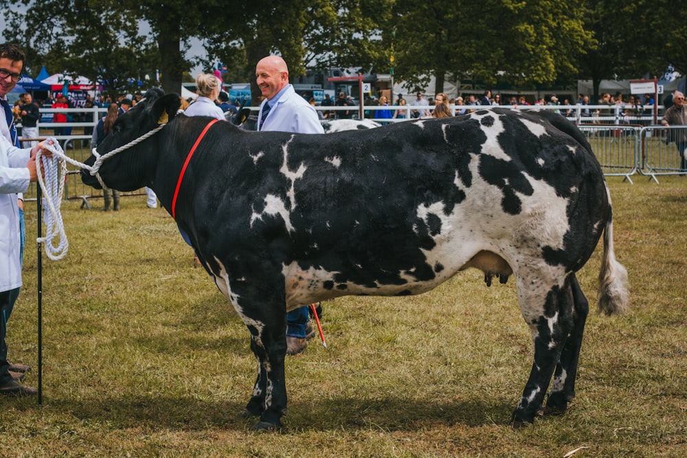 a black and white cow standing on top of a lush green field