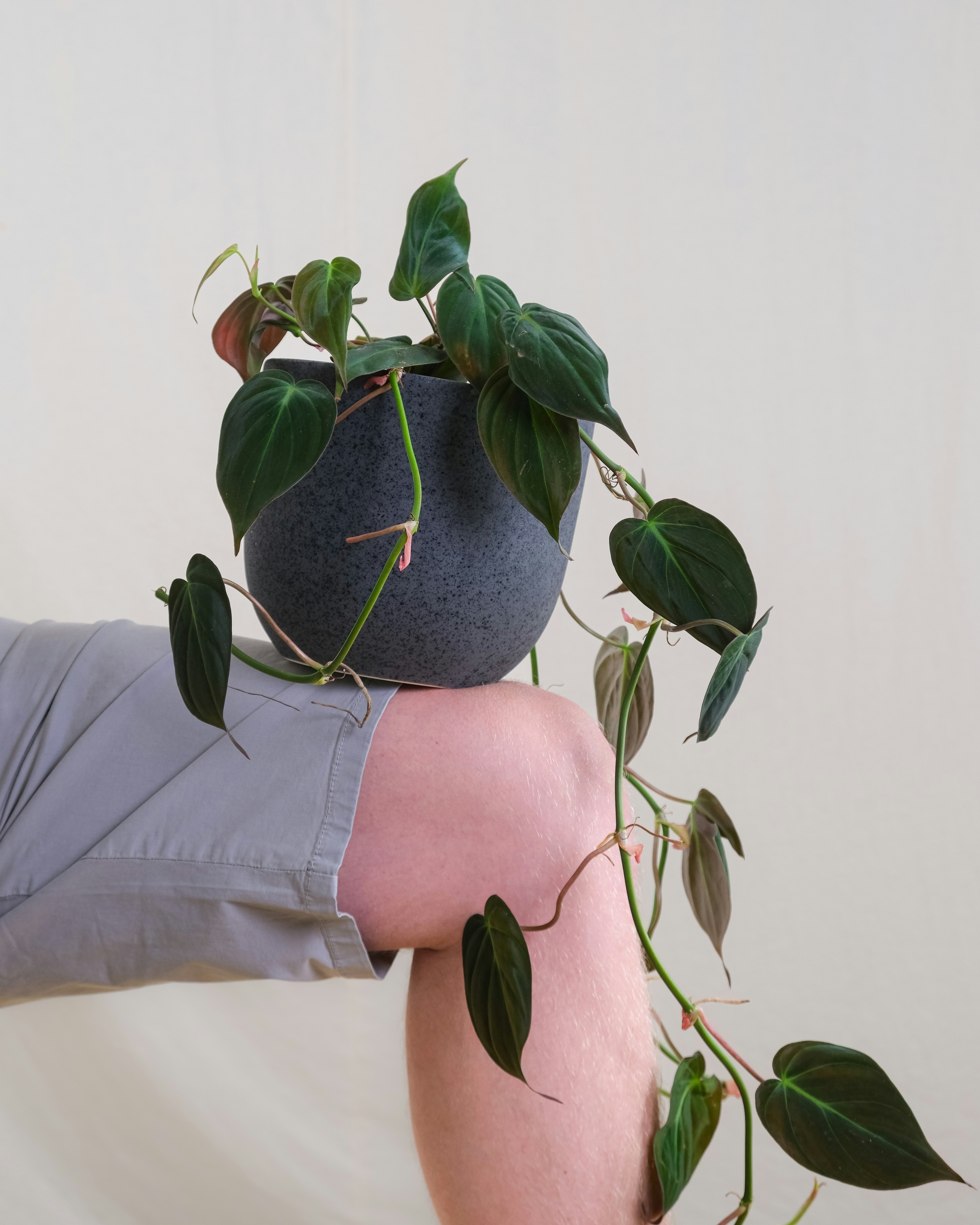 Photo by feeypflanzen