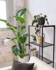 A cozy bathroom corner featuring stylish shelves and decorative plants