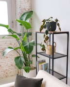 A cozy bathroom corner featuring stylish shelves and decorative plants
