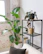 A cozy indoor corner featuring a tall tropical plant in a vibrant green and gold kente cloth patterned pot.