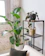 A cozy corner with a tall leafy plant in a rustic ceramic planter by a sunlit window.