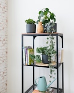 Decorative metal and wood wall shelf showcasing small plants and books.