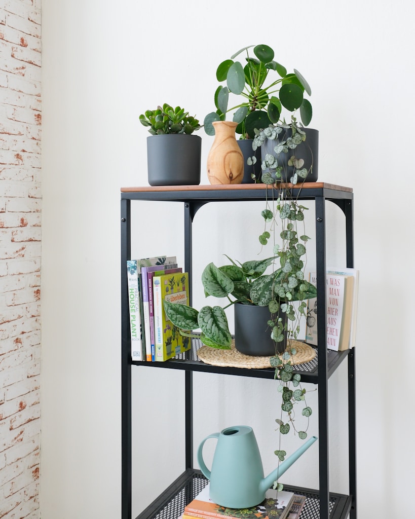 Wooden Bookshelf