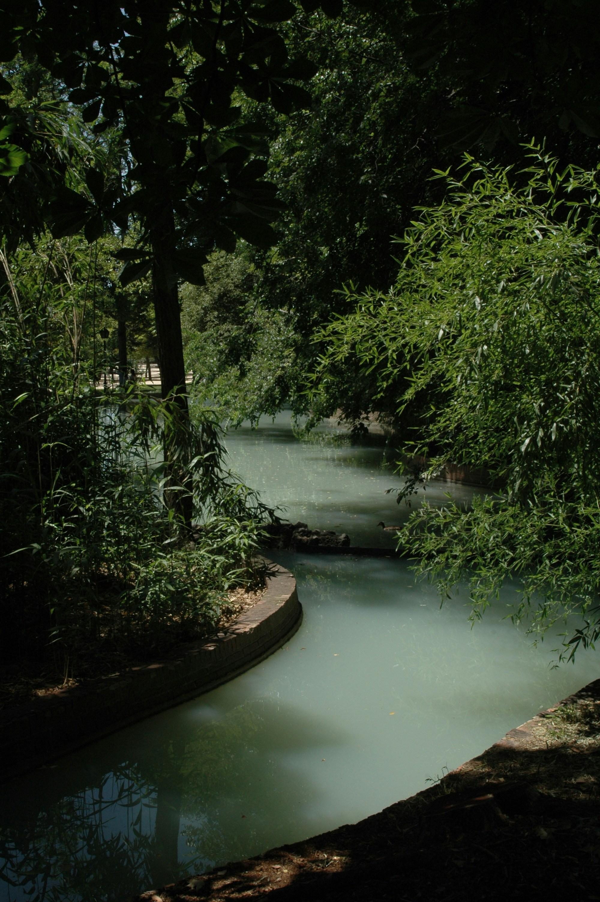 Photo by shotbylucass_