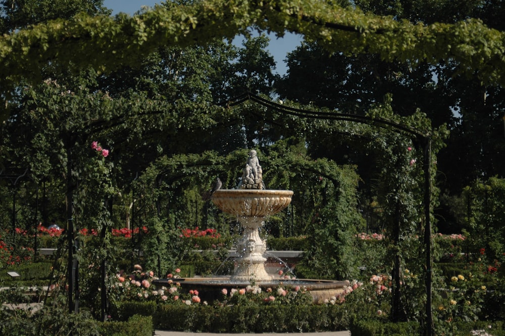 a garden with a fountain surrounded by flowers