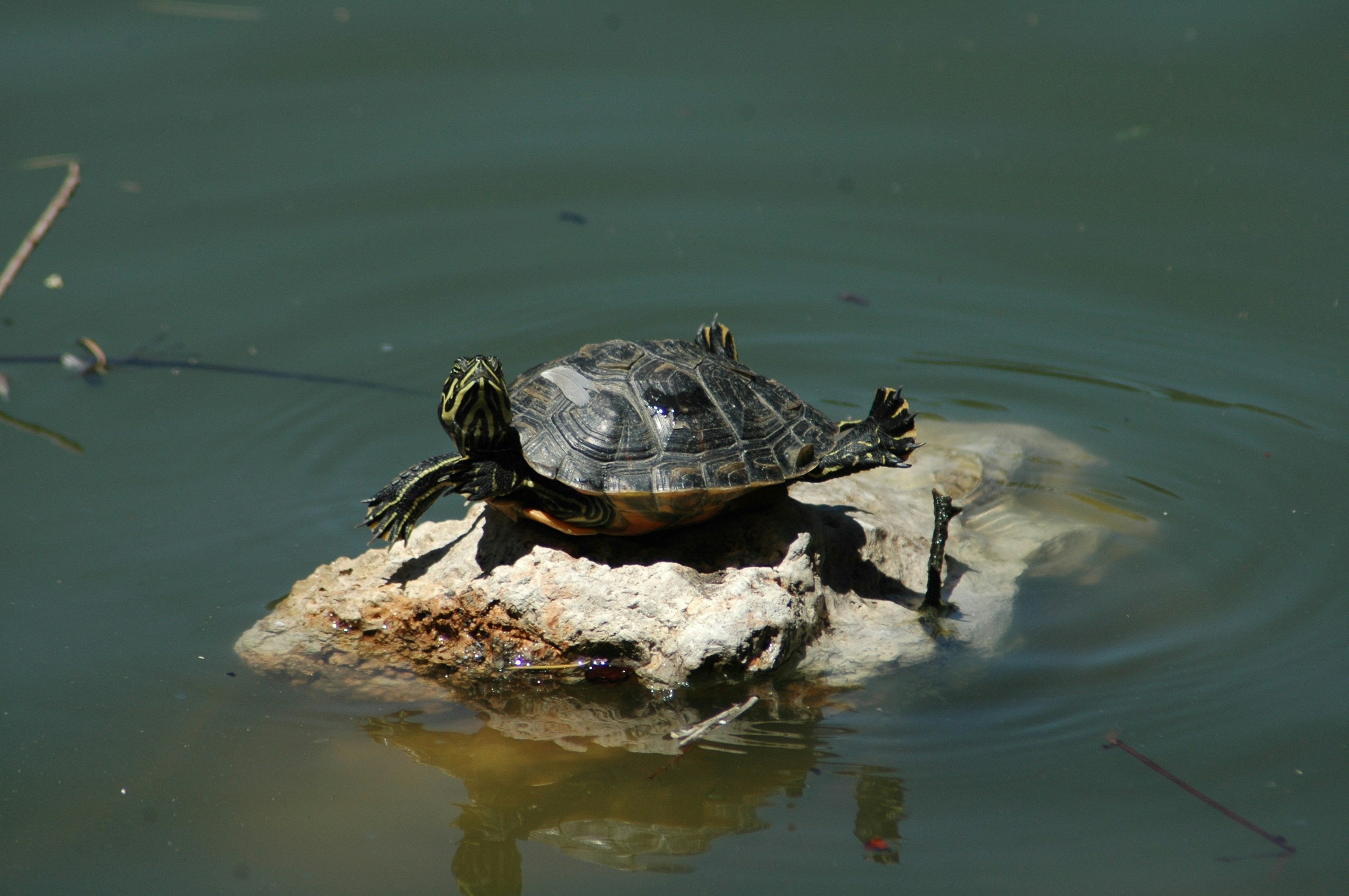 Photo by shotbylucass_