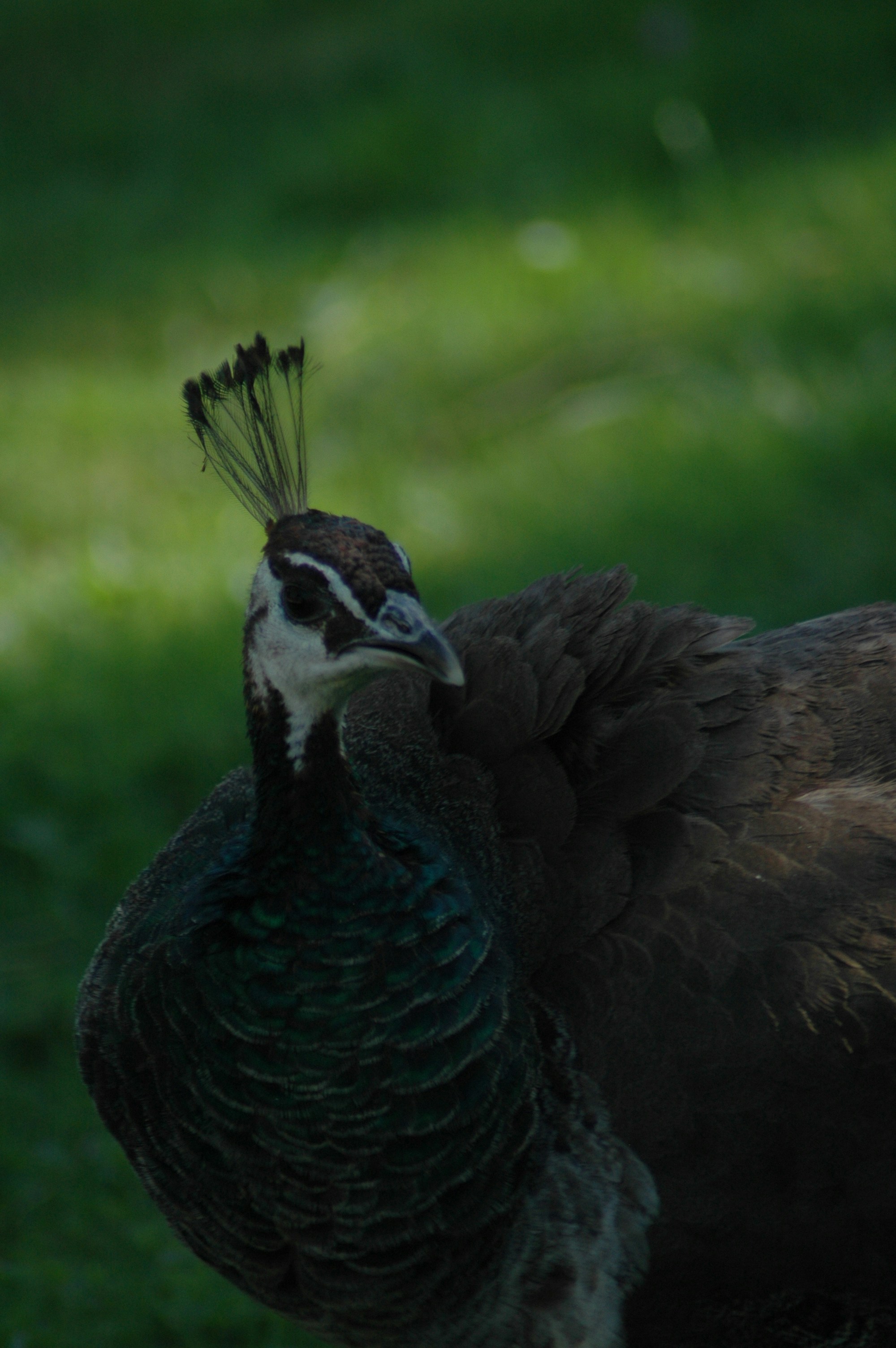 Photo by shotbylucass_