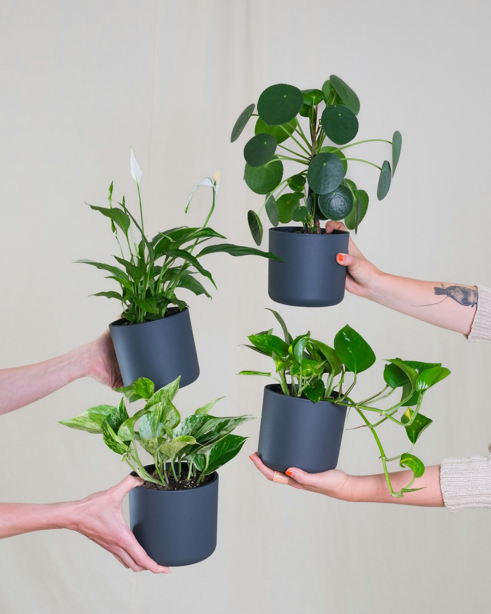um grupo de pessoas segurando plantas em suas mãos