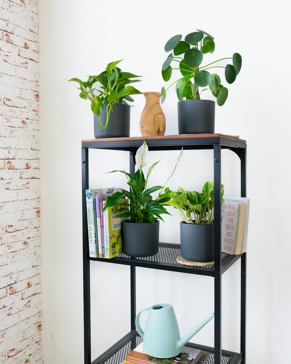 a shelf filled with potted plants next to a brick wall