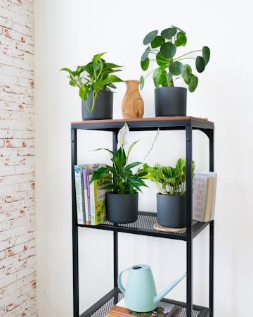 A minimalist black metal shelf holds a variety of green potted plants of different species. Books are neatly arranged alongside the plants, introducing a balance of nature and literature. A wooden vase is placed between the plants, adding a natural element. The lower shelf holds a pastel green watering can. The brick-patterned wall on the left adds a rustic feel to the setting.