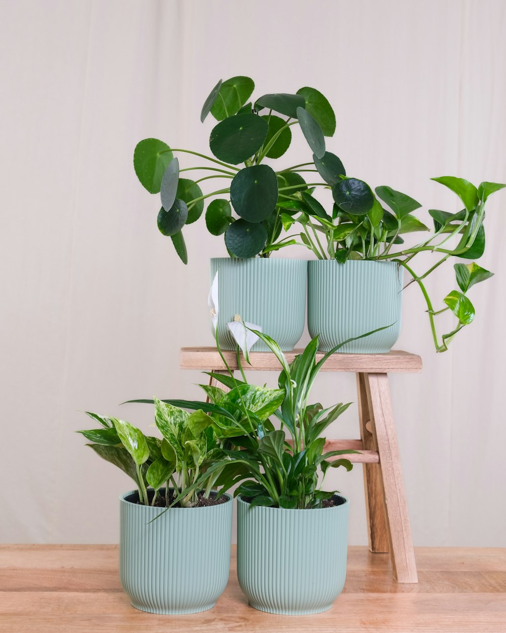 a wooden table topped with three potted plants