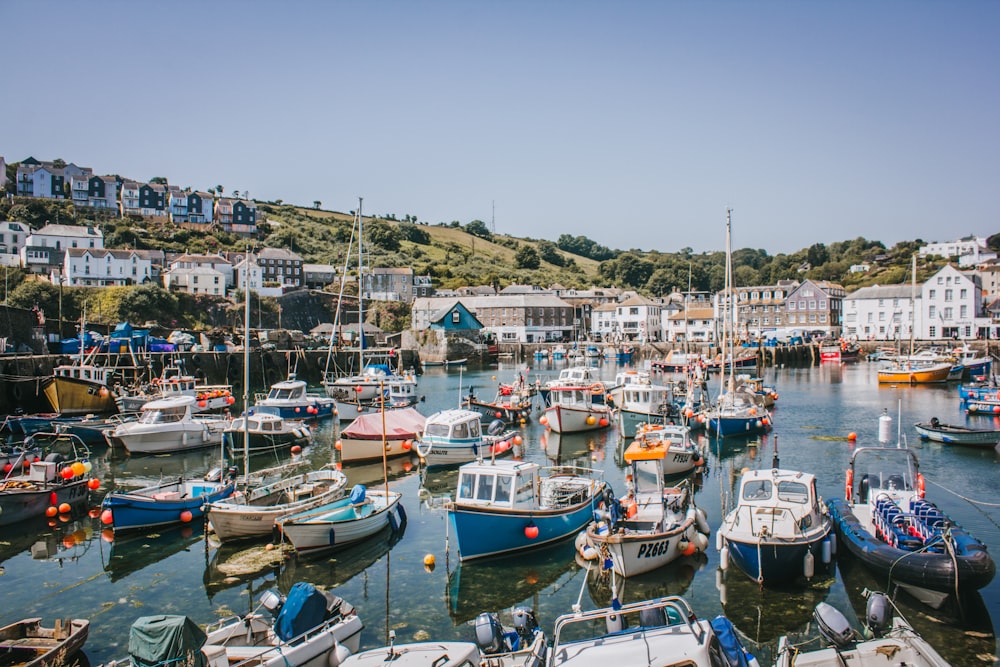 a harbor filled with lots of small boats