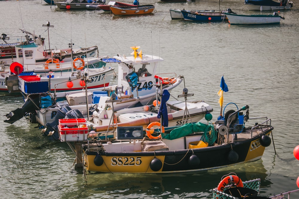 a bunch of boats that are in the water