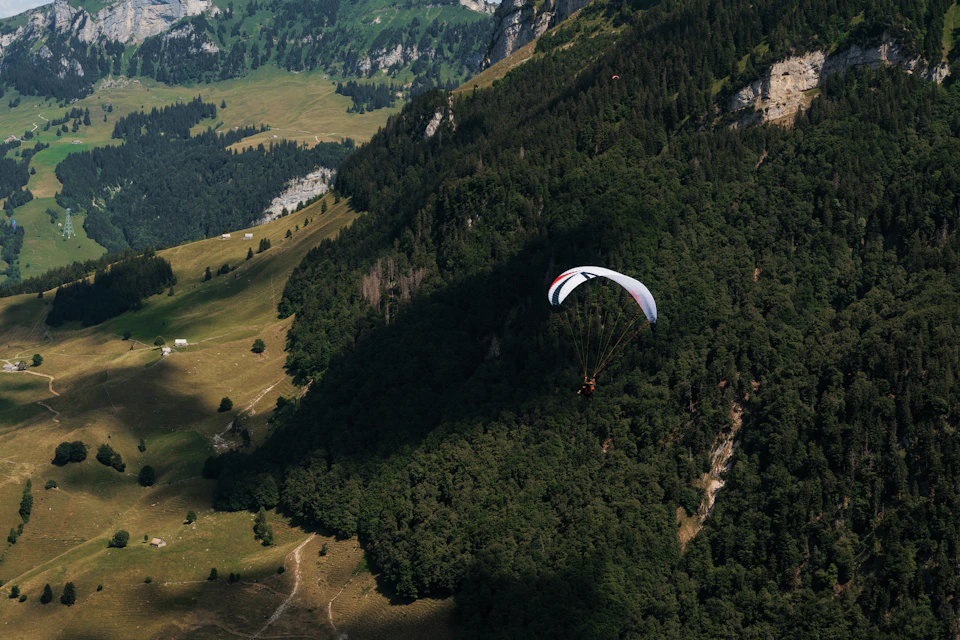 The image captures a paraglider soaring high above a verdant mountain range, with a lush green forest below. The paraglider is positioned centrally in the frame and appears to be gliding over the treetops at an angle of approximately 45 degrees. Below, the forest stretches out into the distance, its dense foliage contrasting with the clear blue sky.