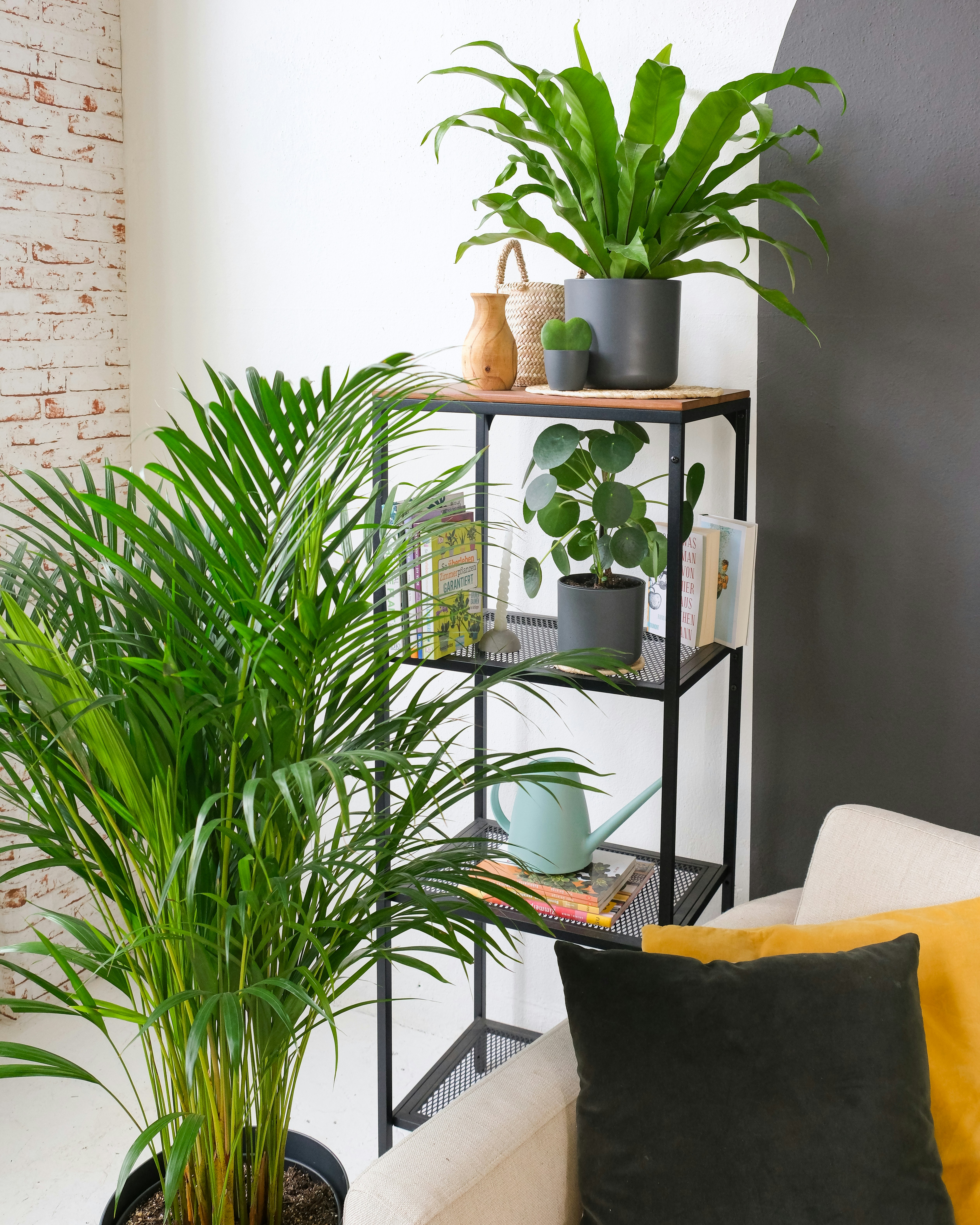 Photo by feeypflanzen