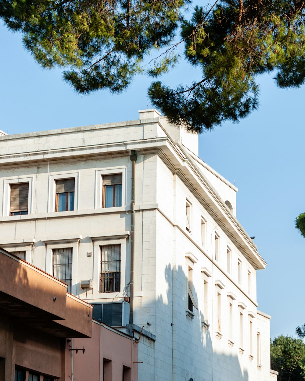 a tall white building sitting next to a tree