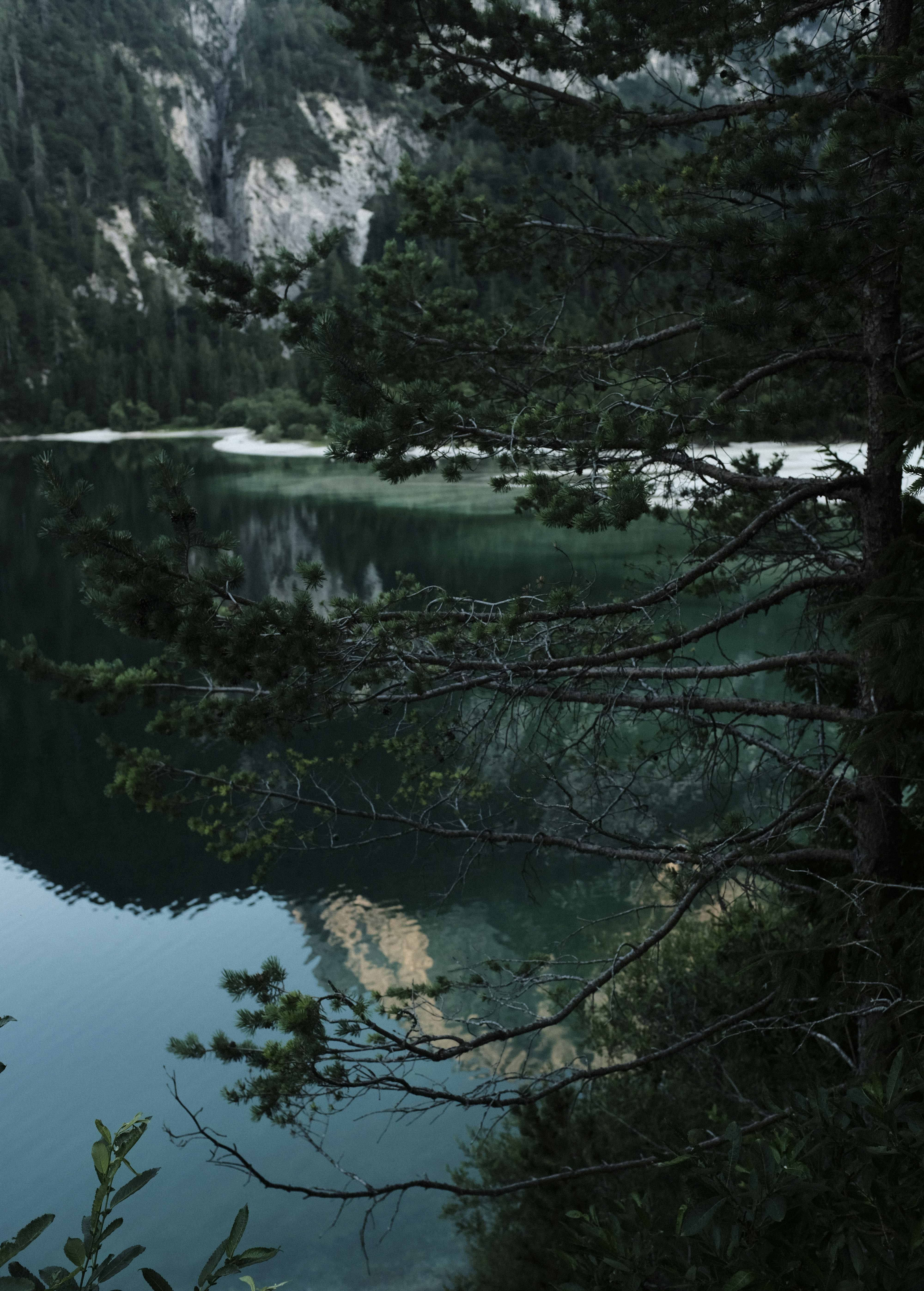 Photo by studiopizza