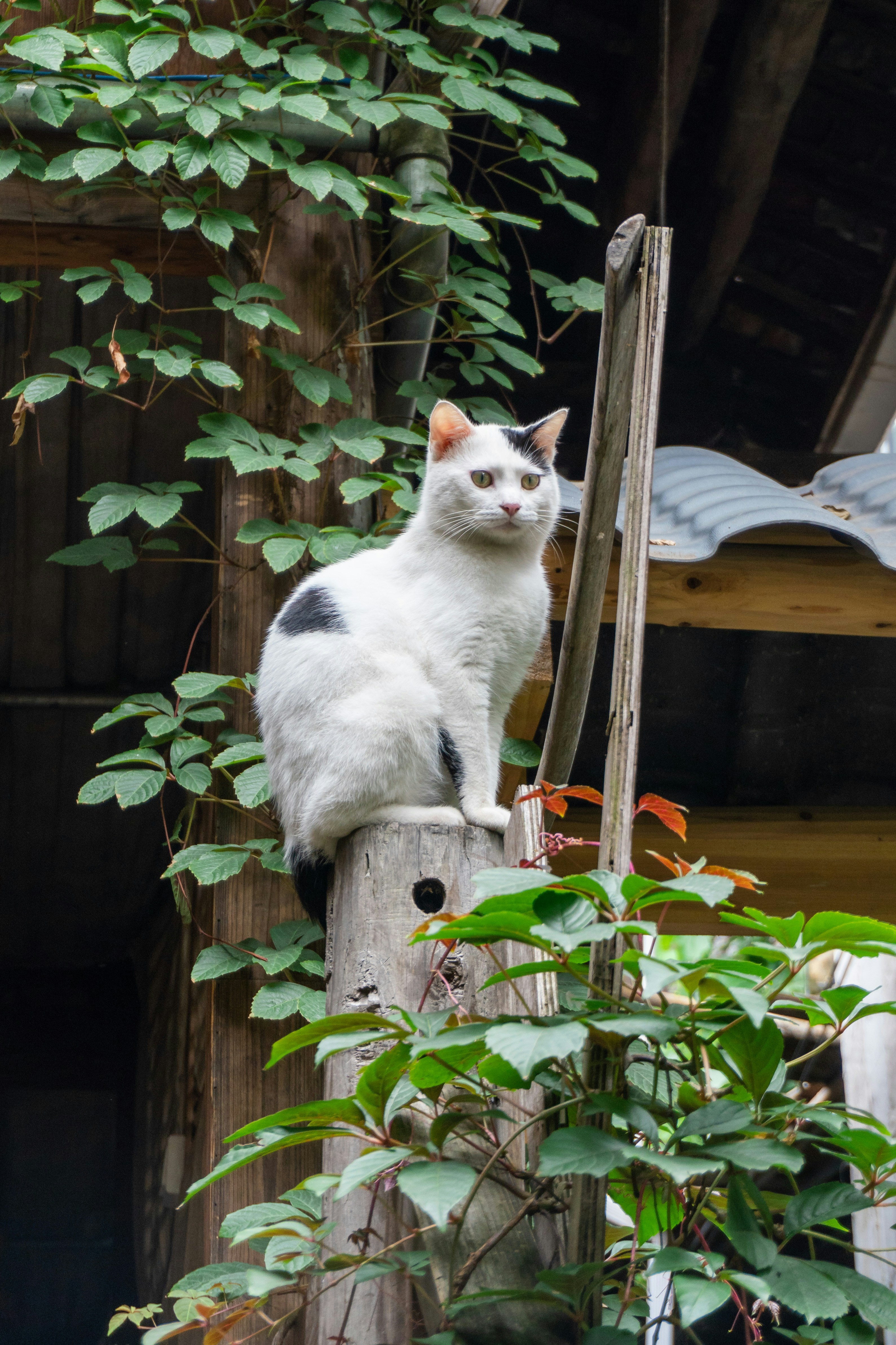 Photo by mw960367054