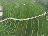 Wide-angle view of a terraced farm landscape with the rover making its way along narrow paths.