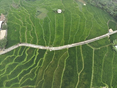 Wide-angle view of a terraced farm landscape with the rover making its way along narrow paths.