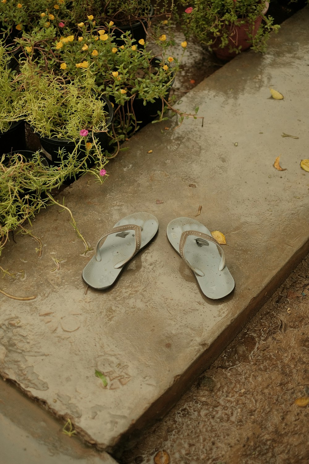 a pair of sandals sitting on a cement step