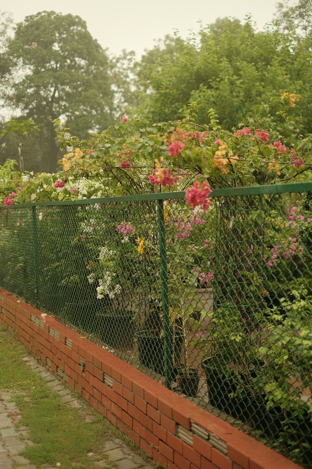 a green fence with flowers growing on it