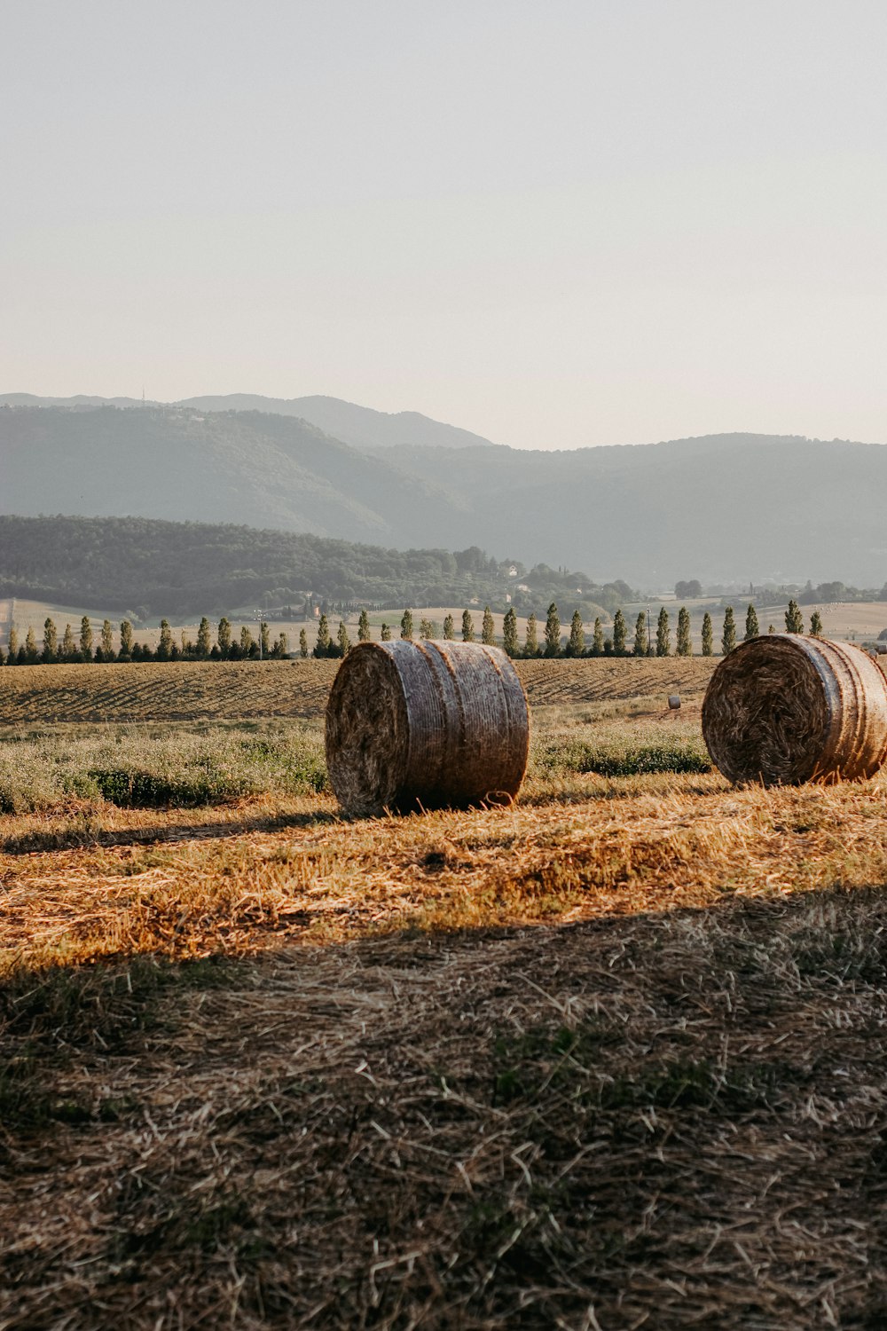 hay bales in a field with mountains in the background