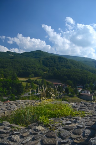 A panoramic view of Obodoukwu's lush landscape with village homes nestled among greenery.